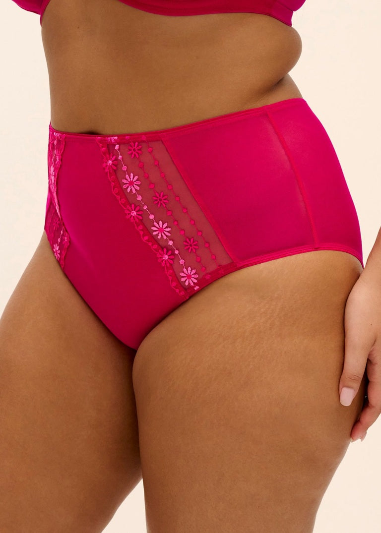 Matilda Full Brief Panty
