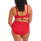 Elomi Morgan Stretch Bra Solid