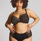 Sophia Deep Brief