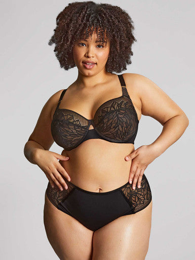 Sophia Deep Brief