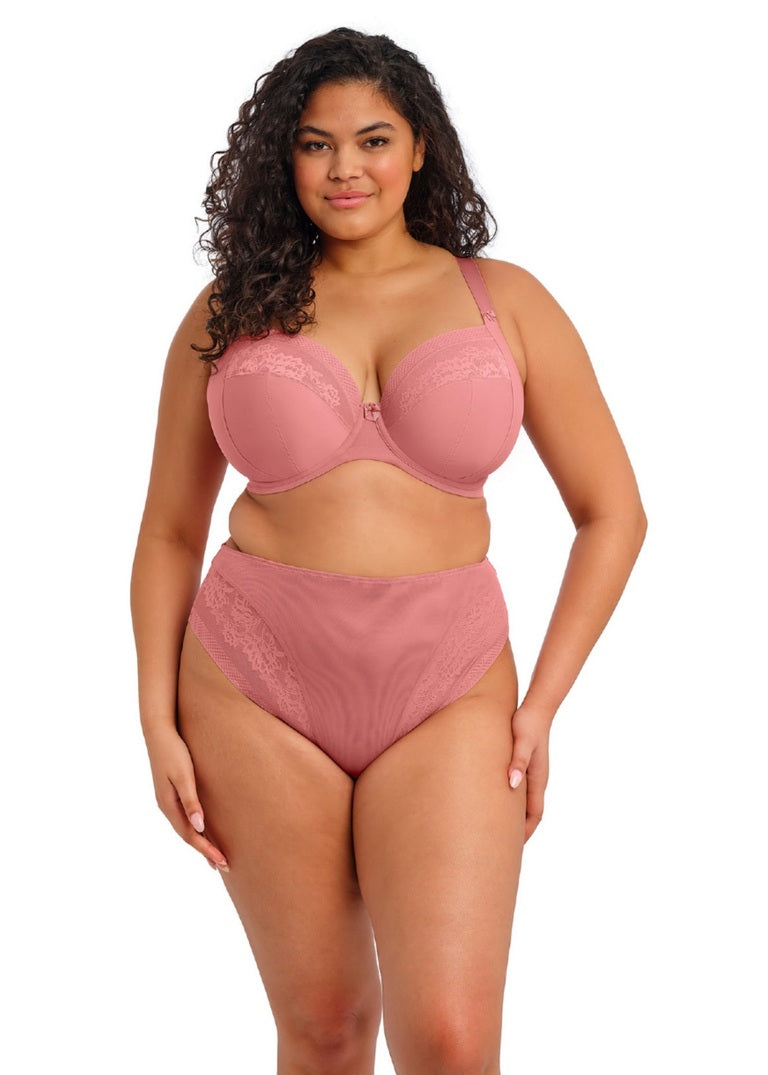 Nerina High Leg Brief
