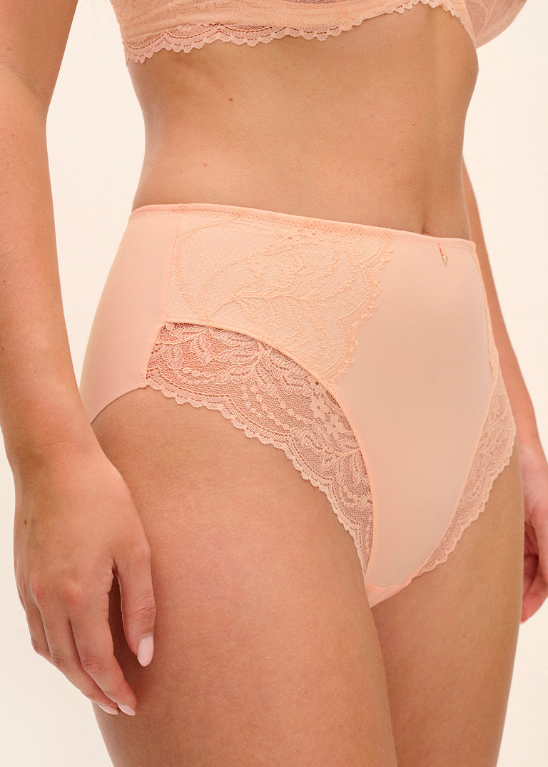 Fantasie Cesile Full Brief Panty
