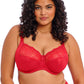 Elomi Morgan Stretch Bra Solid