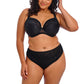 Nerina High Leg Brief