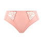 Zarla High Leg Brief