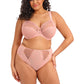 Zarla High Leg Brief