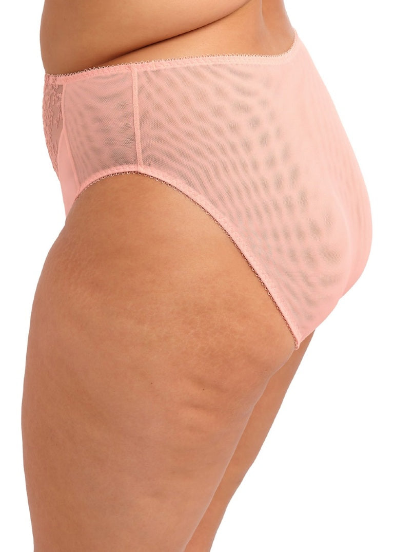 Zarla High Leg Brief