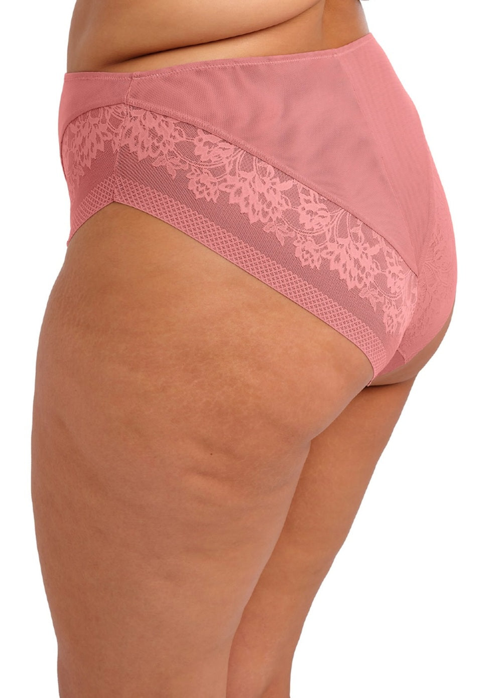Nerina High Leg Brief