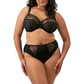 Zarla High Leg Brief